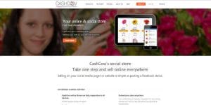אתר השיווקי של חברת cashcow